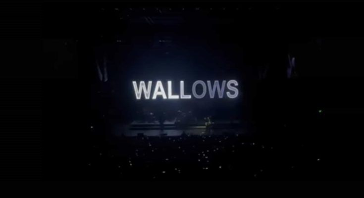 Wallows toronto